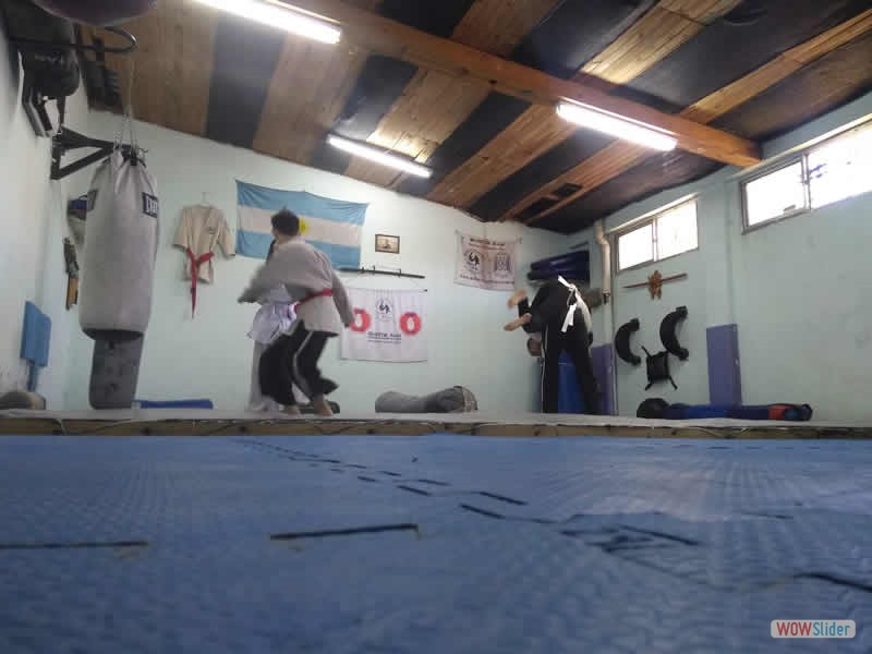 IMG_20191123_114125351 IMG_20191123_114125351