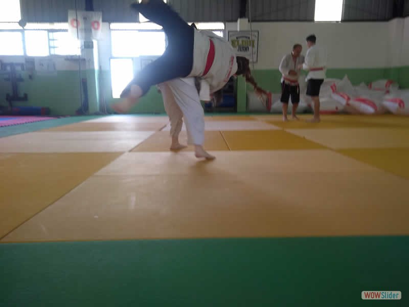 IMG_20200201_120308418 IMG_20200201_120308418